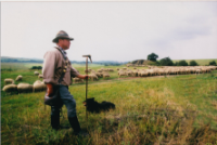 ein Bild aus dem Album